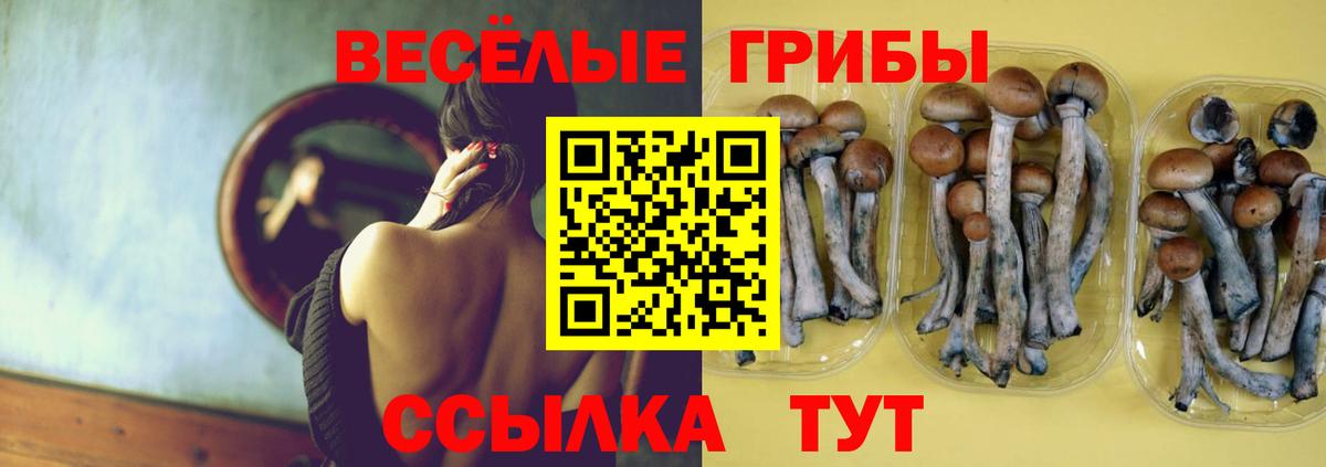 Галлюциногенные грибы Psilocybine cubensis Урюпинск
